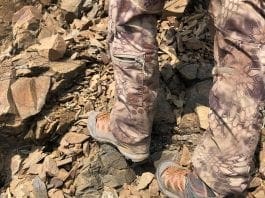 Salewa Mountain Trainer Lite Mid Gore-Tex Review