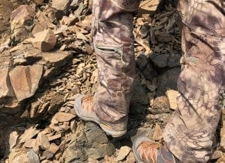 Salewa Mountain Trainer Lite Mid Gore-Tex Review