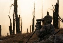 2020 Rokstaff Top Gear Picks