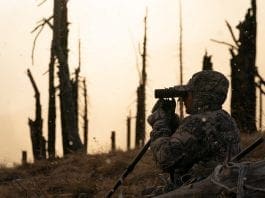 2020 Rokstaff Top Gear Picks