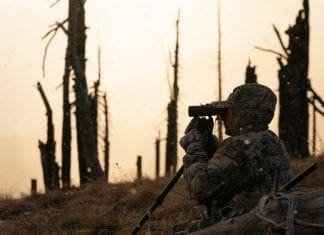 2020 Rokstaff Top Gear Picks