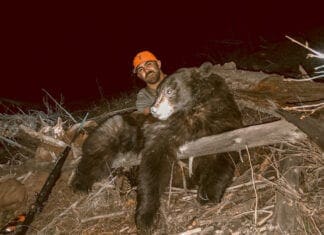 A Rok Solid Western Hunting Rifle