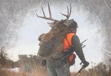 Top Gear in 2020 with Ryan and Robby