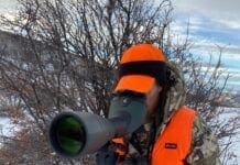 Swarovski BTX: Big Time Xtreme Glassing