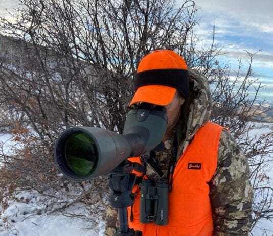 Swarovski BTX: Big Time Xtreme Glassing