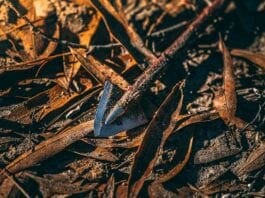 Iron Will Outfitters Single Bevel Broadhead Review