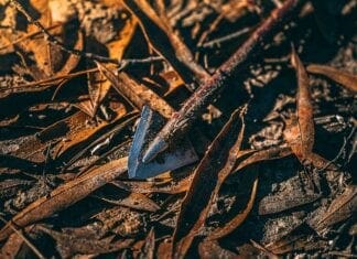 Iron Will Outfitters Single Bevel Broadhead Review