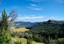 Backpack Hunting With Diabetes