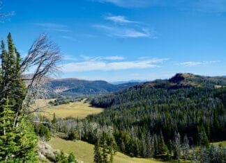 Backpack Hunting With Diabetes