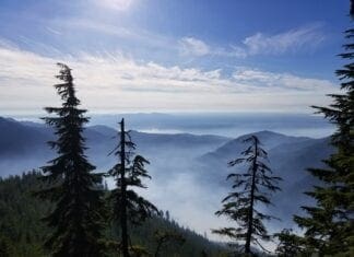 Hanging Out With Hemingway—Almost