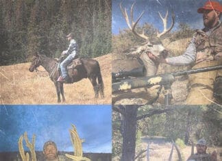 Wildlife and Mule Deer with Jaden Bales