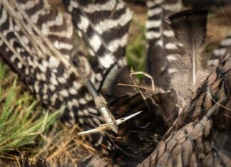 Tipsy Tuesday – Early May