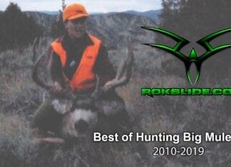 The Best of Hunting Big Mule Deer