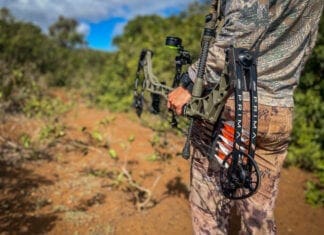 Mathews Prima Women’s Bow Review