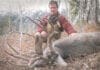 Summer Mule Deer with Robby Denning