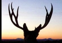 Book Review: So You Want To Hunt The West For Mule Deer?