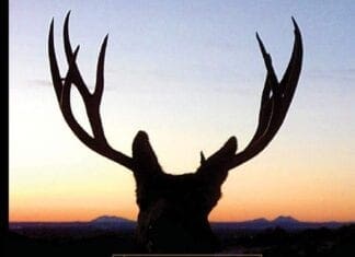 Book Review: So You Want To Hunt The West For Mule Deer?