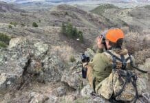 2022 Rokstaff Top Gear Picks