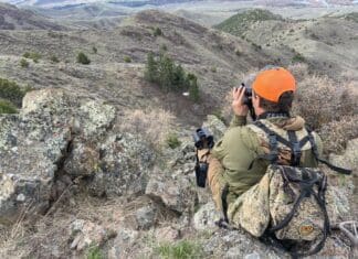 2022 Rokstaff Top Gear Picks