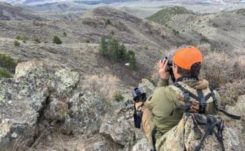 2022 Rokstaff Top Gear Picks