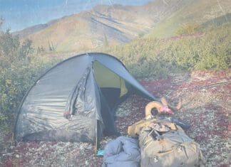 Tipsy Tuesday – Late August