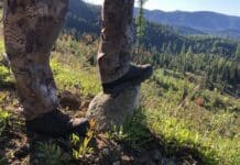 Crispi Wyoming II GTX Boot Review