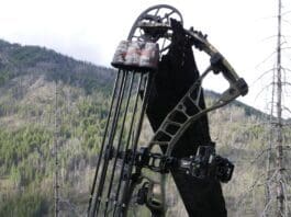 Hoyt Ventum 33 Review