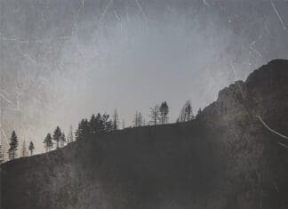 Tipsy Tuesday – Early October