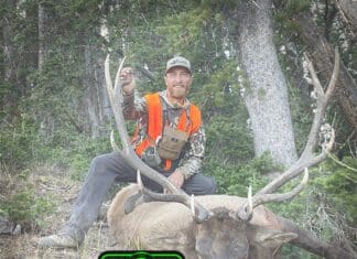 Grizzly Encounters with Justin Klement