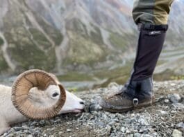 Stone Glacier SQ2 Alpine Gaiter Review