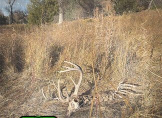 Tipsy Tuesday – Late October