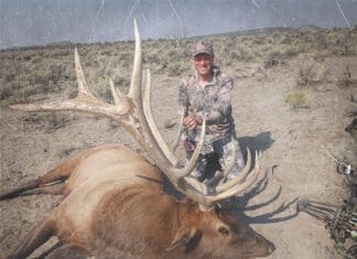 Desert Bulls and Mountain Bulls with Tony Trietch