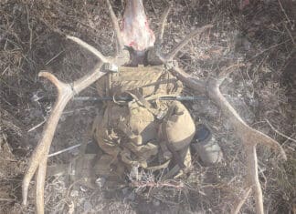 Tipsy Tuesday – Late November