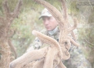 Mule Deer Round Table