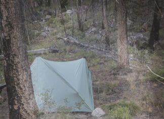 Tipsy Tuesday – Mid December