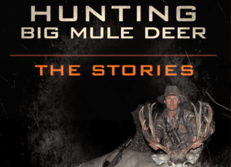 New Book! with Robby Denning