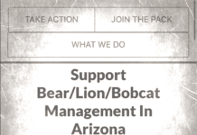 Save Hunting with John Stallone