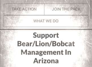 Save Hunting with John Stallone