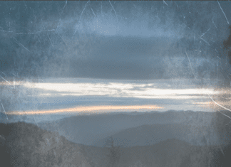 Tipsy Tuesday – January 25