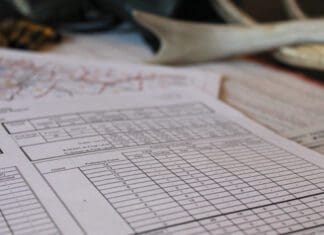 Moose, Sheep, and Goat: Analyzing the Bonus Point System