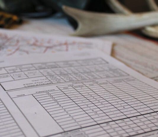 Moose, Sheep, and Goat: Analyzing the Bonus Point System
