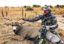 2021 Rokstaff Top Gear Picks