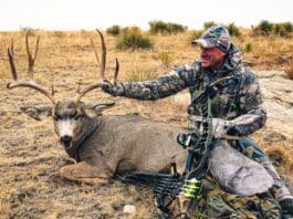 2021 Rokstaff Top Gear Picks