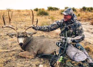 2021 Rokstaff Top Gear Picks