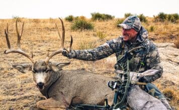 2021 Rokstaff Top Gear Picks