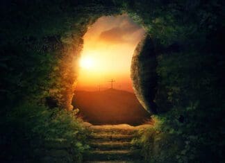 “He Came Alive!”