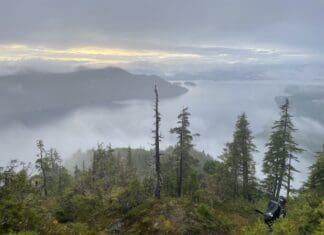 SE Alaska Sitka Deer Hunting