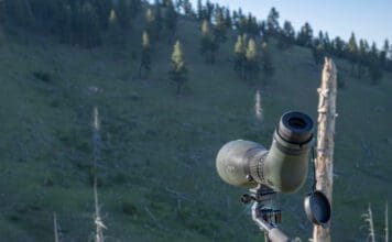 Wiser Precision NightHawk PH 170 Review