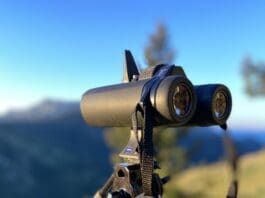 Zeiss SFL 10×40 vs. SF 10×32 Binocular Review