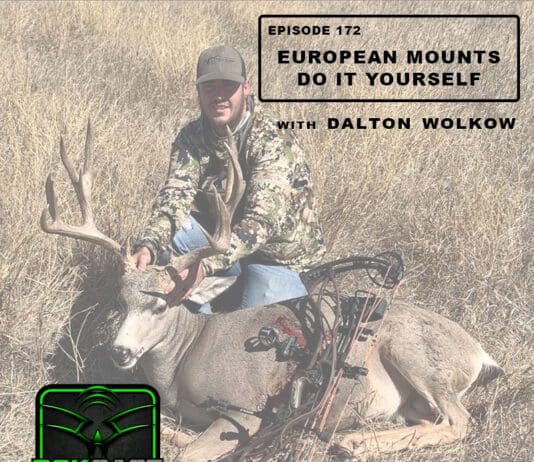 European Mounts | Do It Yourself with Dalton Wolkow